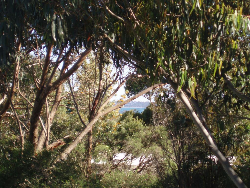 VentnorPhillip Island Self Check In公寓 客房 照片